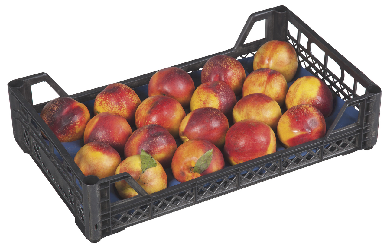 Nektarin Kırmızı 3-4 Kg Lık Kasada Kg
