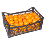 METRO Chef Portakal Finike Sıkmalık 11-13 Kg Lık Kasada Kg