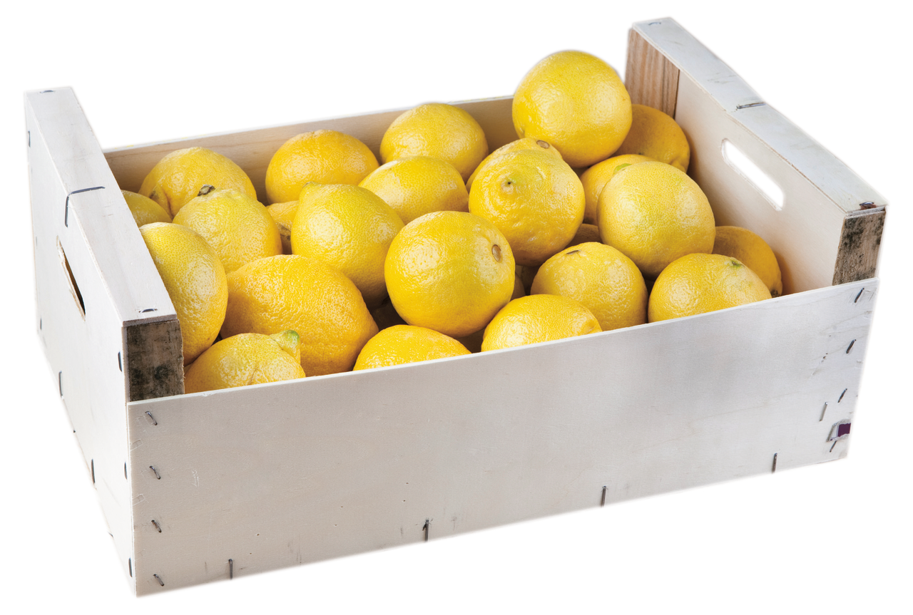 METRO Chef Limon 7-8 Kg Lık Plastik Kasa Kg