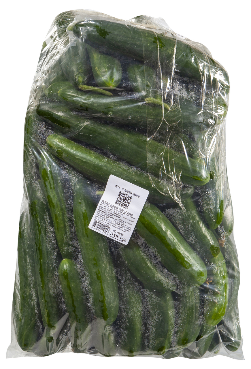 Salatalık Ekonomik 10 Kg Lık Torbada Kg