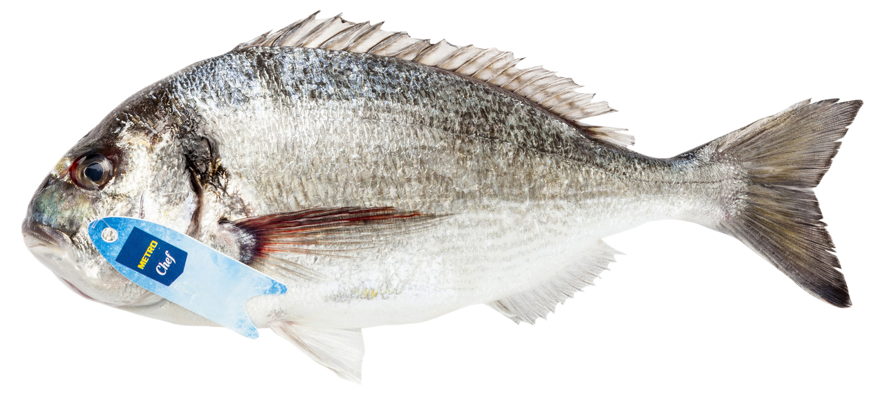 METRO Chef Çipura (400-600 G ) Kg