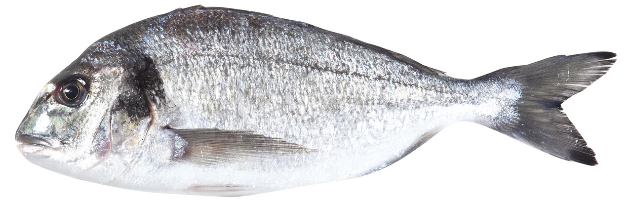 Çipura (400-600G) Kg