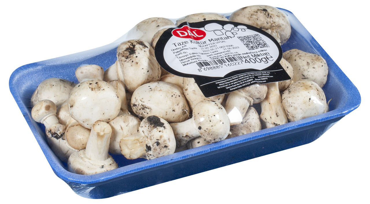 Taze Kültür Mantarı 400 Gr