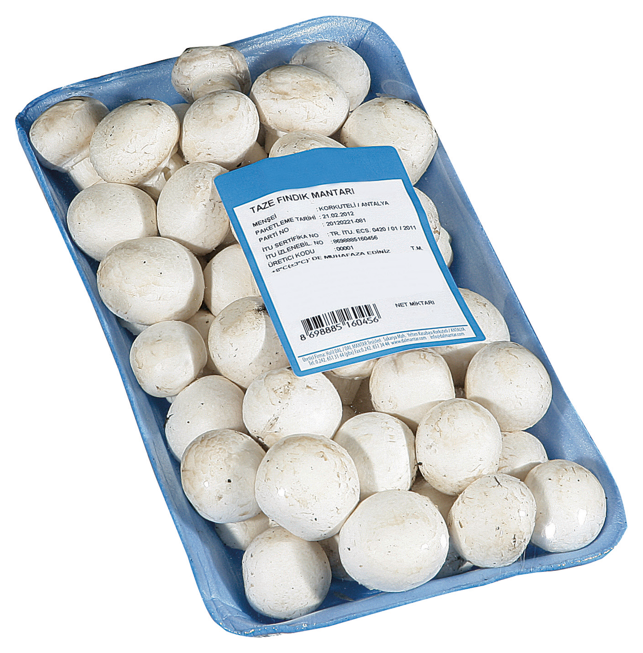 Mantar Fındık 400 Gr