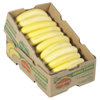 Muz İthal 18,5 Kg Lık Kolide Kg