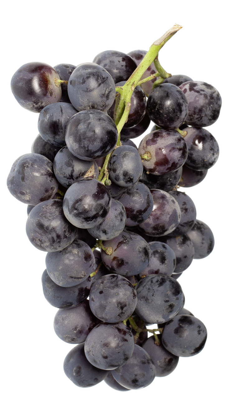 Kavacık Üzümü 3-4 Kg Lık Kutuda Kg