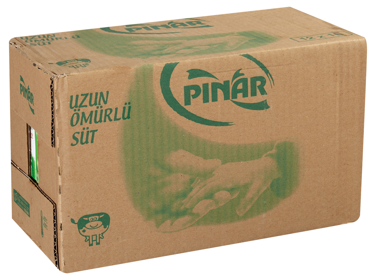 PINAR Süt 12 X 1 L