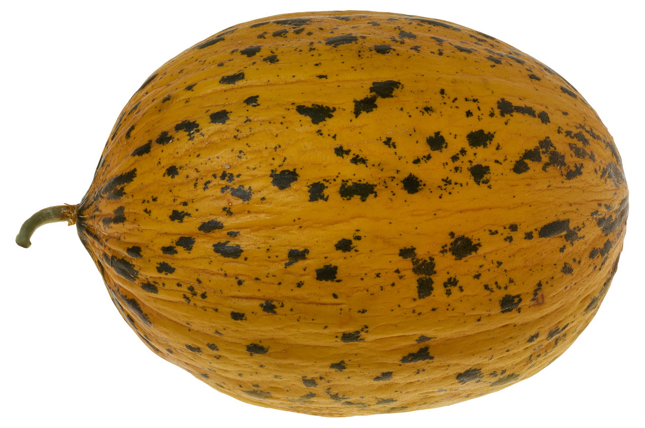 Kavun Kırkağaç 3-4 Kg