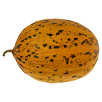 Kavun Kırkağaç 3-4 Kg