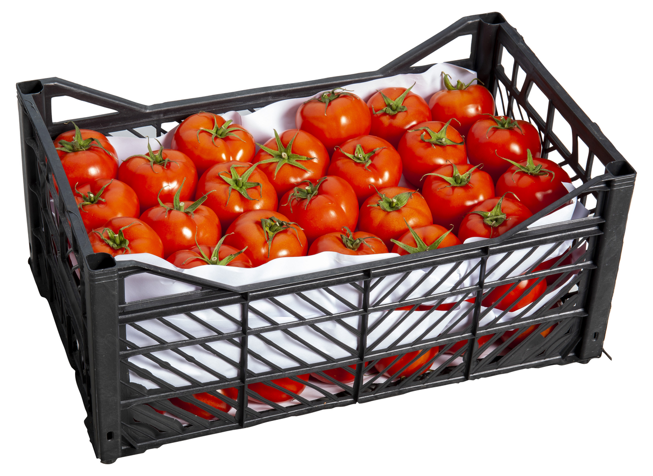 Domates Karma 10-12 Kg Lık Plastik Kasada Kg