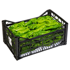 METRO Chef Biber Köy 5-6 Kg Lık Pilastik Kasada Kg