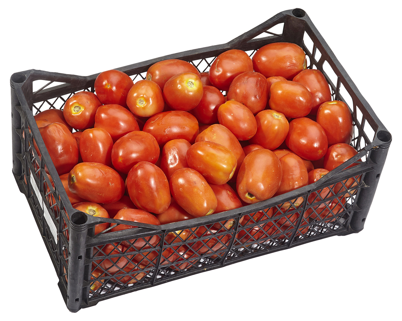 Domates Salçalık Sosluk 12-13 Kg Lık Kasada Kg