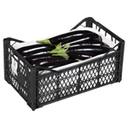 METRO Chef Patlıcan 5-6 Kg Lık Kutu Kg