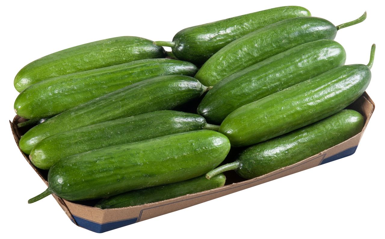 METRO Chef Salatalık Çengelköy 600-800 G Lık Pakette Kg