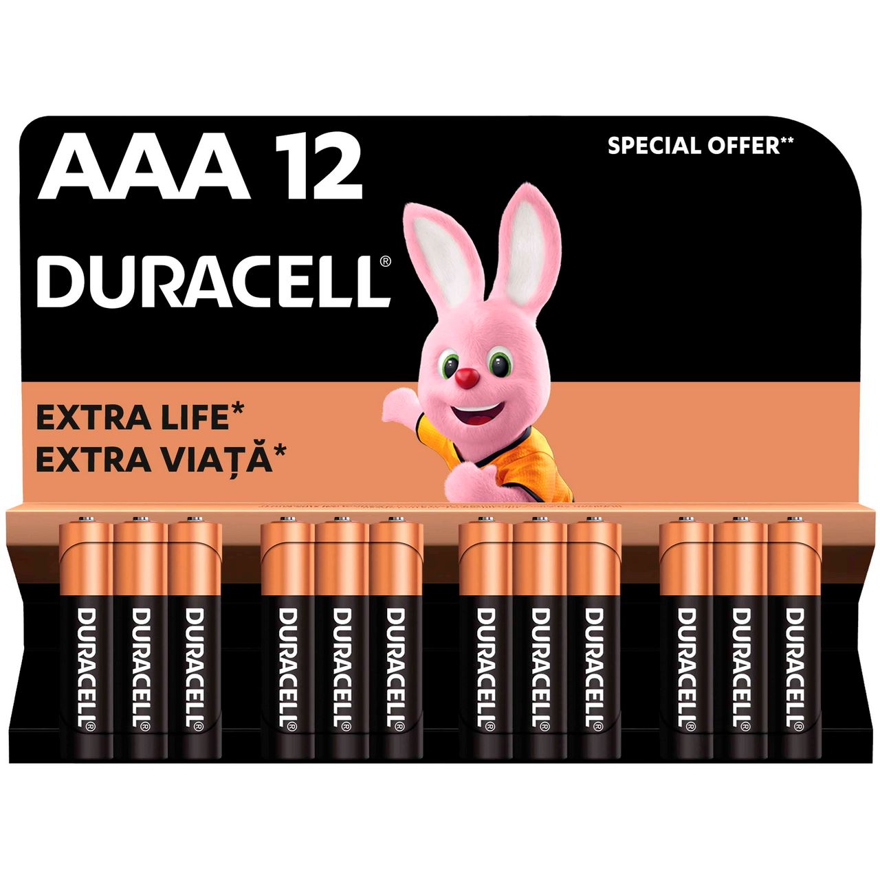 DURACELL Батарейки AAA лужні 12 шт