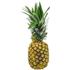 Ананас Калібр 6