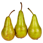 Груша Конференція кг